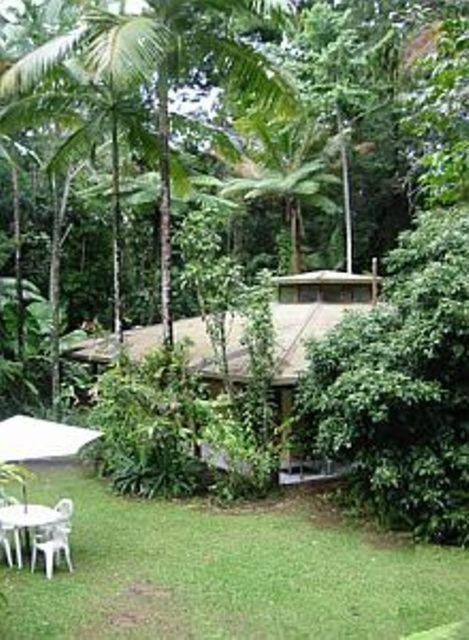 Daintree Deep Forest Lodge 케이프트리뷸레이션 외부 사진