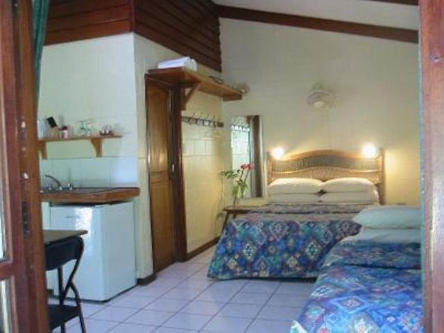 Daintree Deep Forest Lodge 케이프트리뷸레이션 객실 사진