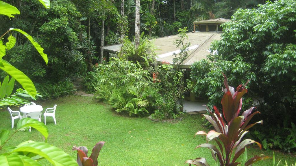 Daintree Deep Forest Lodge 케이프트리뷸레이션 외부 사진