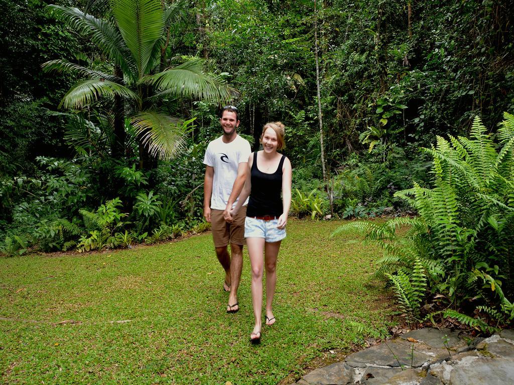 Daintree Deep Forest Lodge 케이프트리뷸레이션 외부 사진