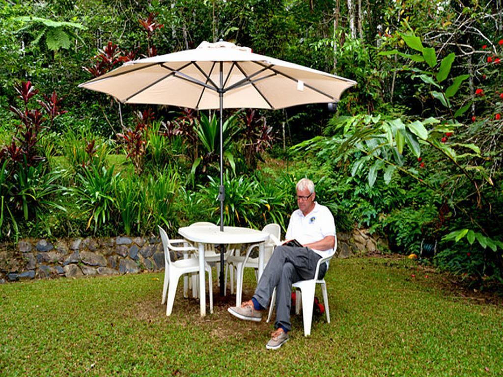 Daintree Deep Forest Lodge 케이프트리뷸레이션 외부 사진