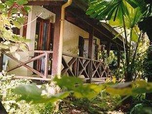 Daintree Deep Forest Lodge 케이프트리뷸레이션 외부 사진