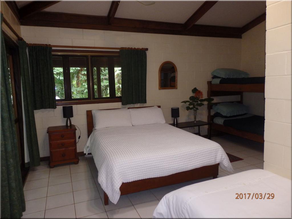 Daintree Deep Forest Lodge 케이프트리뷸레이션 외부 사진