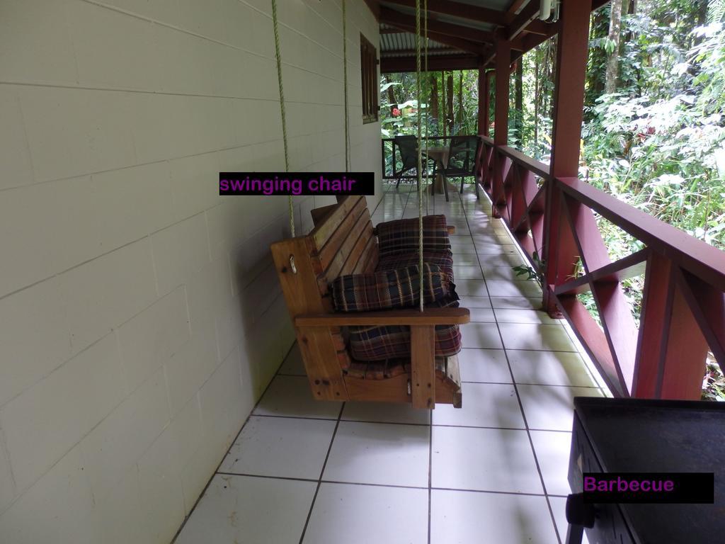 Daintree Deep Forest Lodge 케이프트리뷸레이션 외부 사진