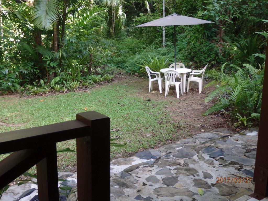 Daintree Deep Forest Lodge 케이프트리뷸레이션 외부 사진